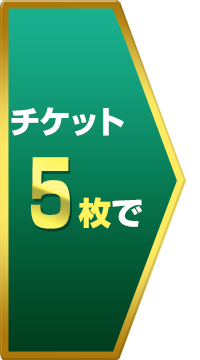 チケット5枚で